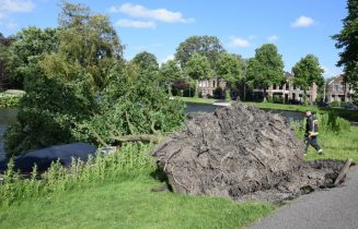 Enorme boom mist op een haar na plezierboot, Zoeterwoudsesingel in Leiden