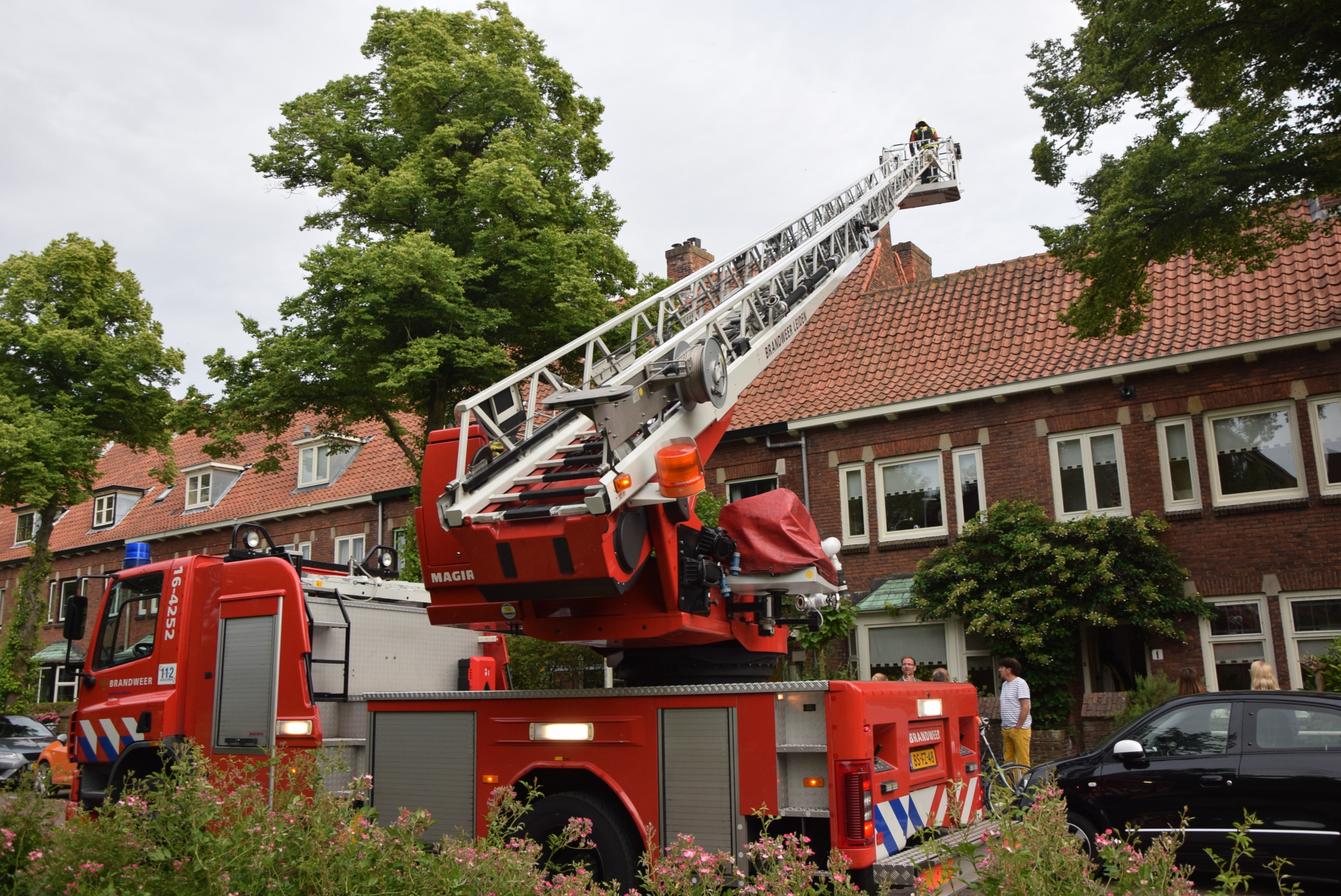 Vogel vast in schoorsteenkap, Lorentzkade in Leiden