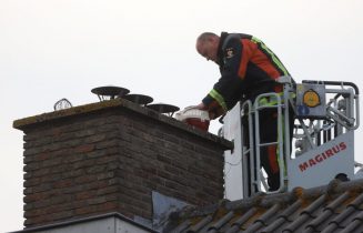 Brandweer zet jonge meeuw terug in nest, Berlagestraat in Leiden