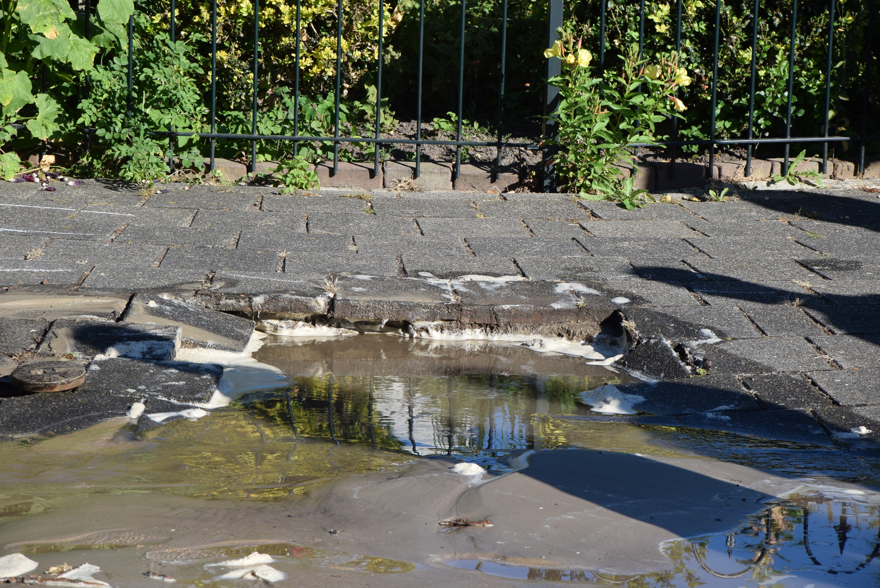 Gesprongen waterleiding zet straat blank, Kristalstraat in Leiden
