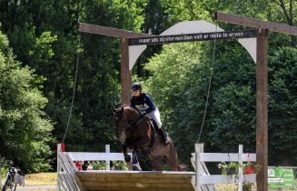 paard