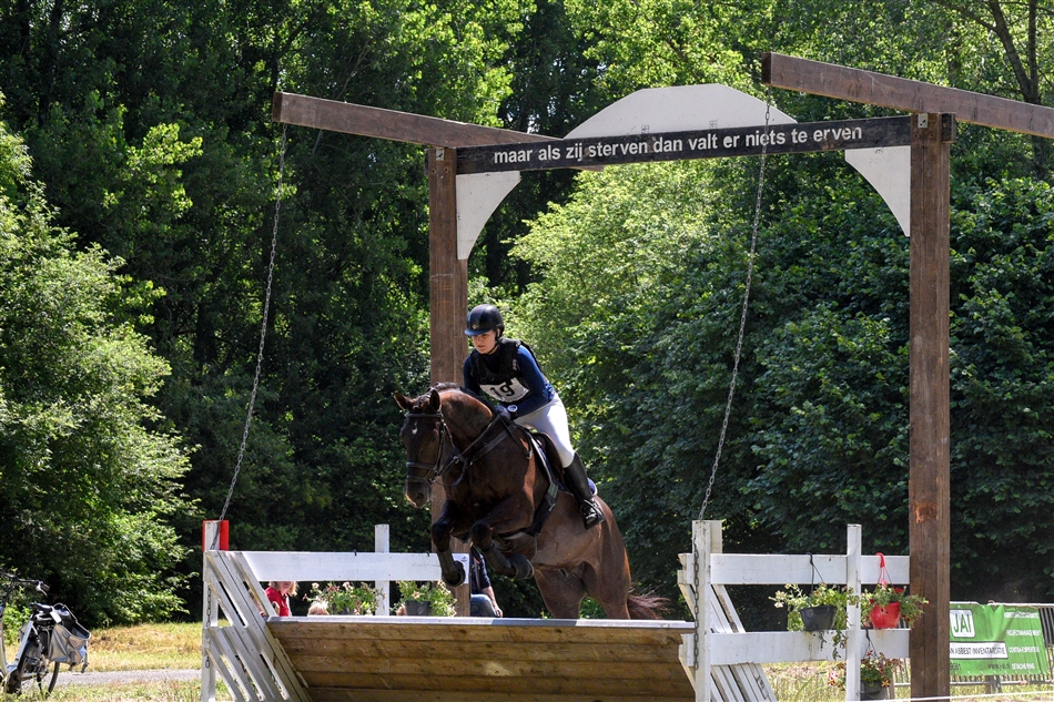 paard
