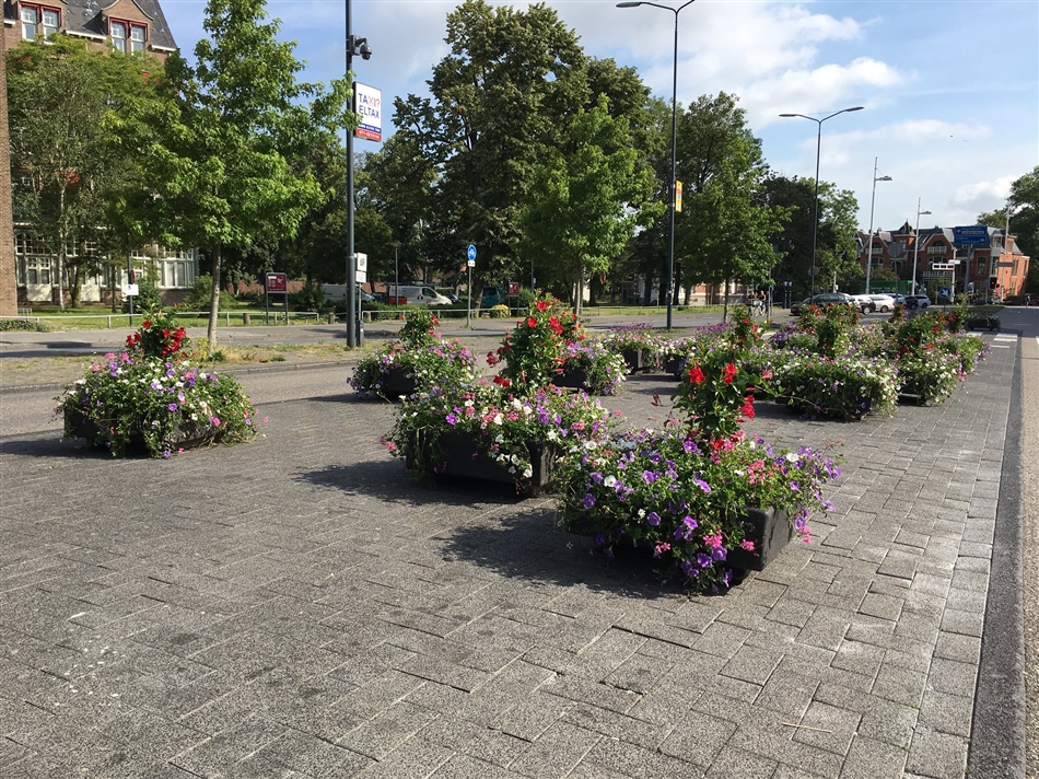 Bloembakken Leiden CS