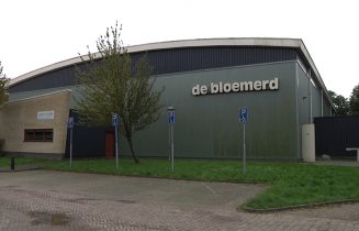 bloemerd