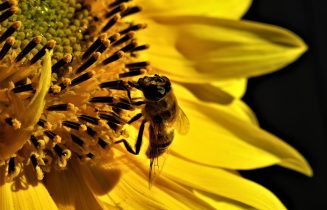 E2A07689BEE877144DAEA7832B9A8928_950_0