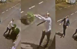Plantenbakken