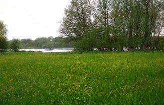 Vletland