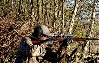 hunting-3781222_960_720
