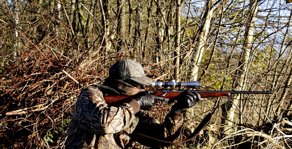 hunting-3781222_960_720