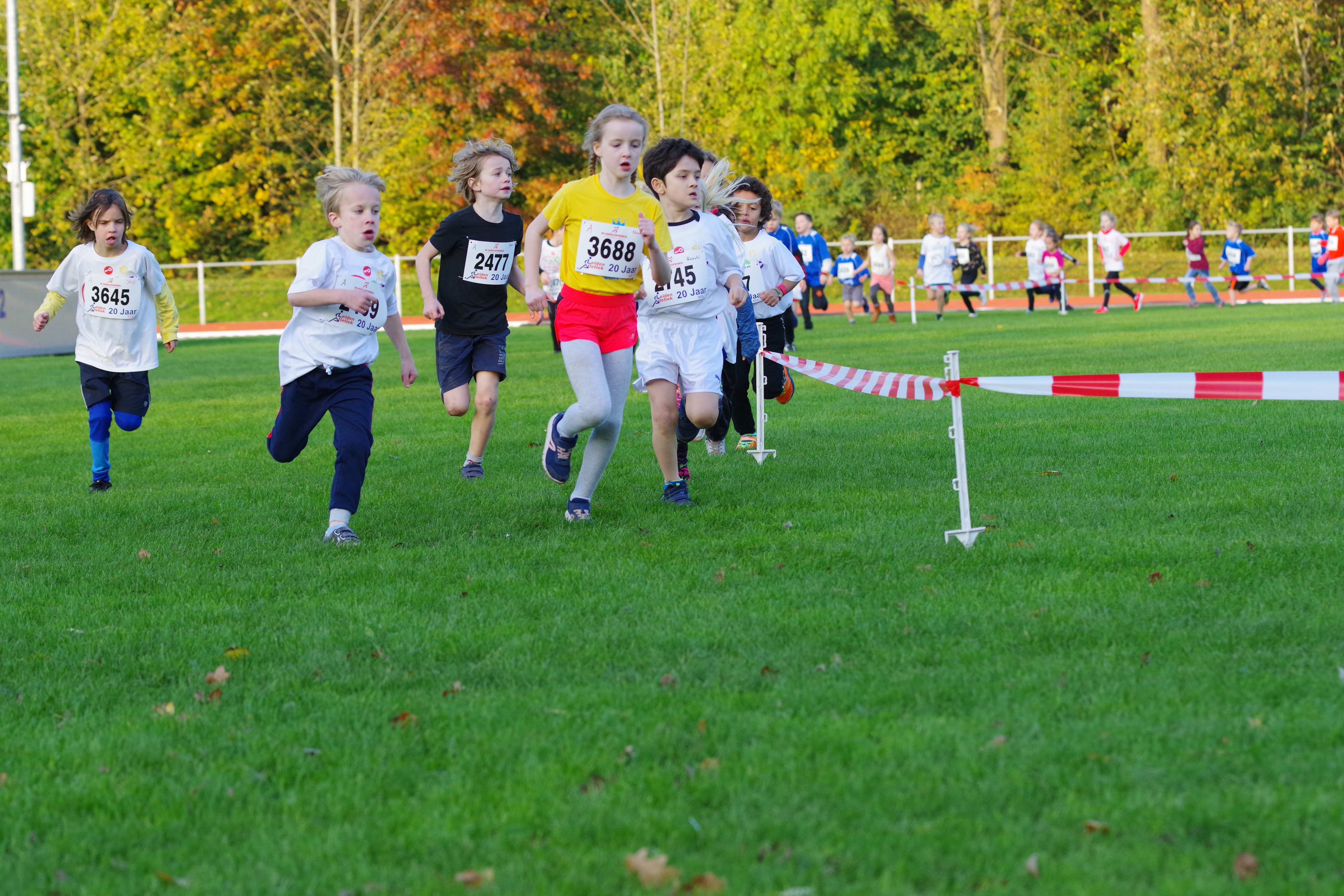 2019 Scholierencrossloop Groep 3&4_1