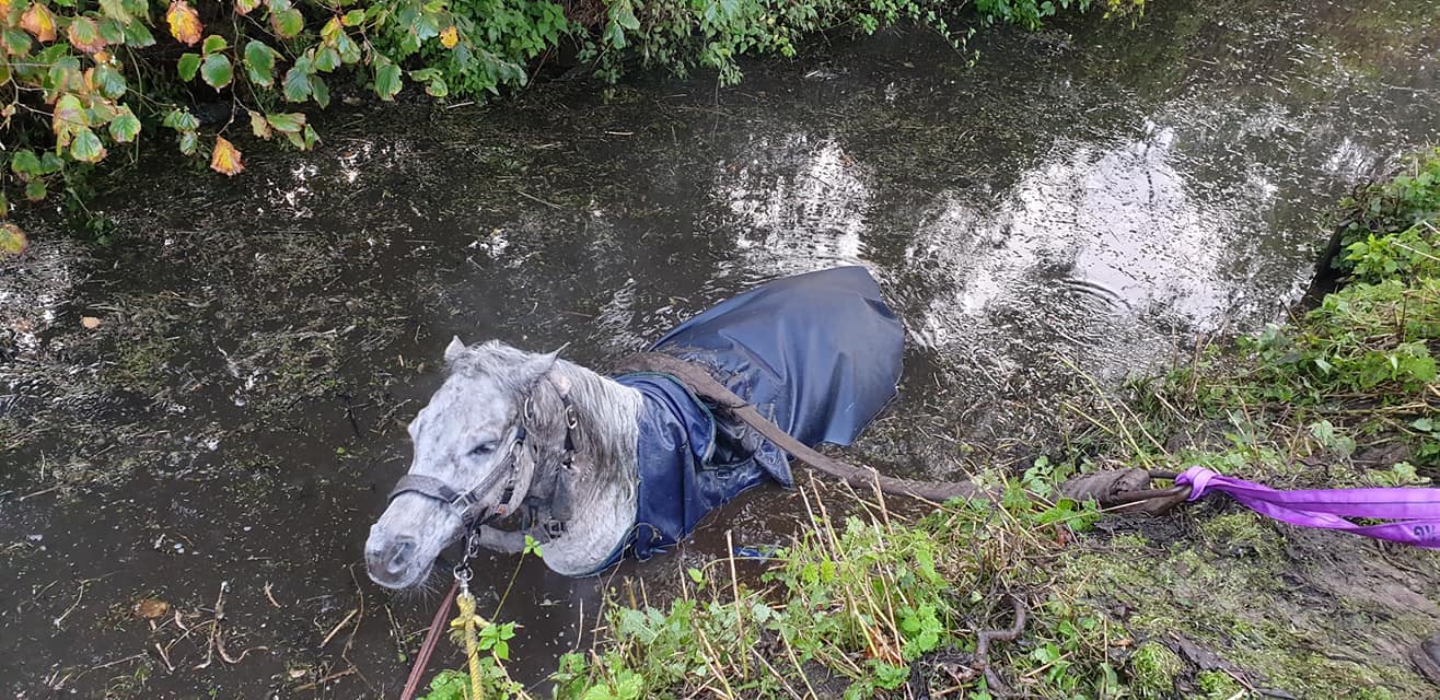 Paard Sloot Voorschoten
