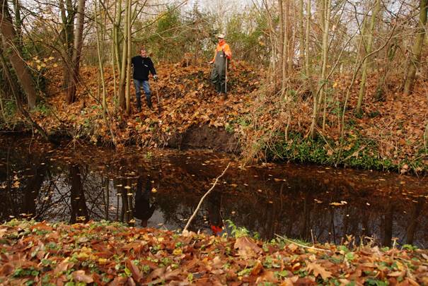 IJsvogels in Park Rosenburgh