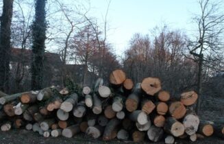 houtwal haaswijk