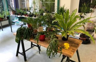 plantenasiel goed