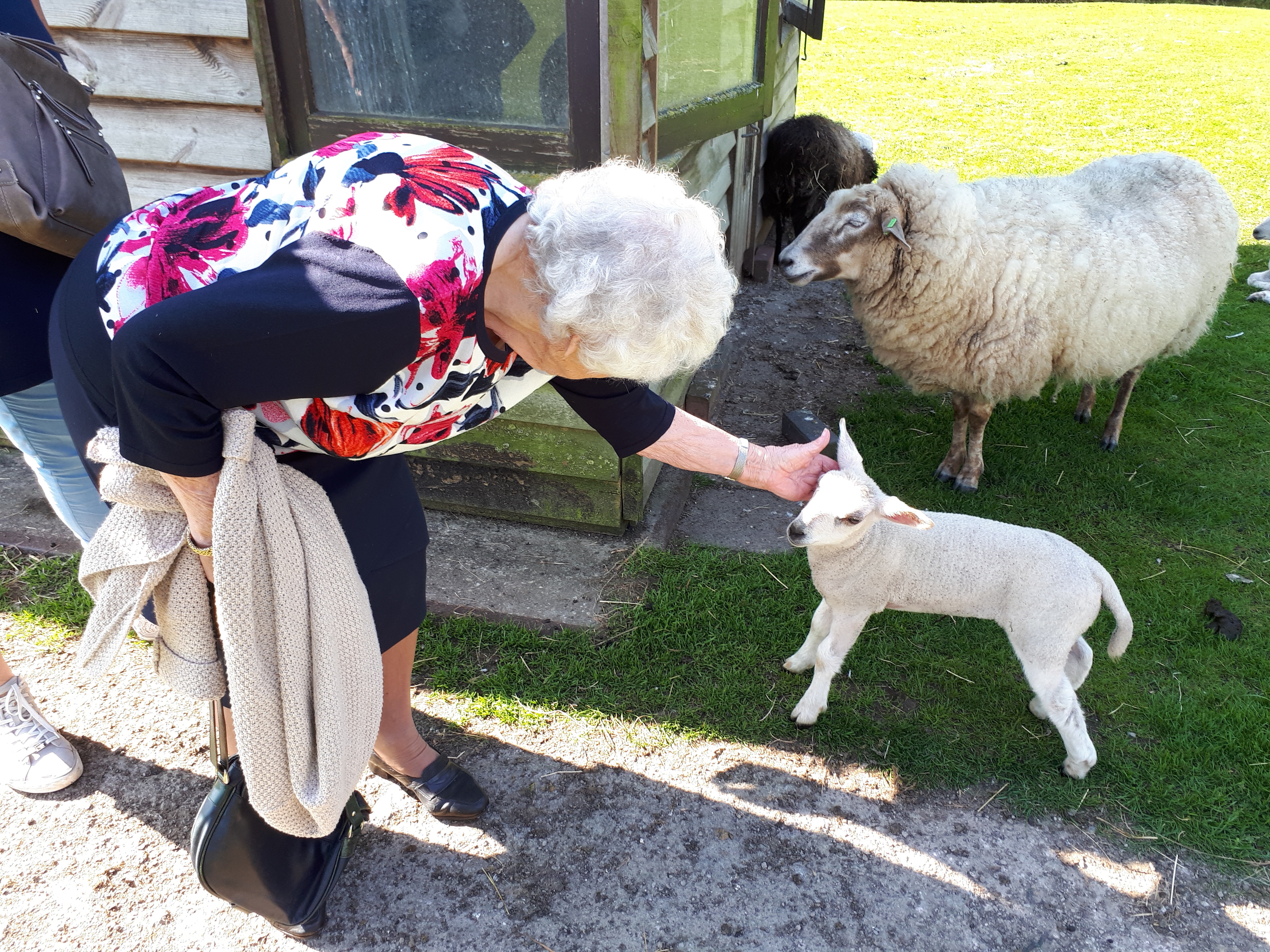 Kinderboerderij Voorschoten 3