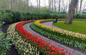 Keukenhof 2020