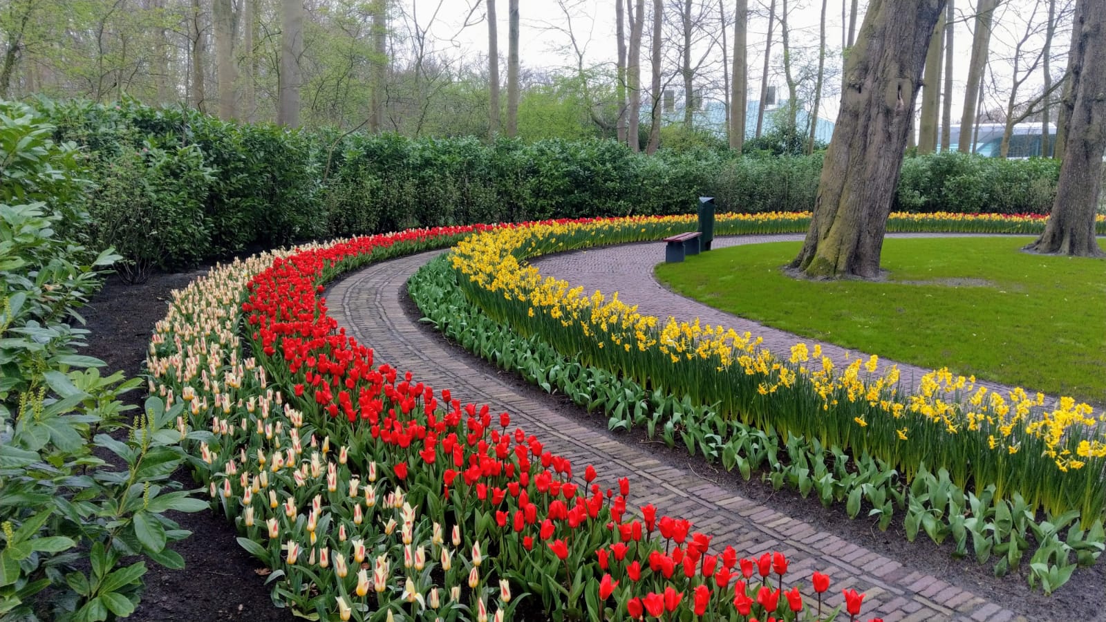 Keukenhof 2020