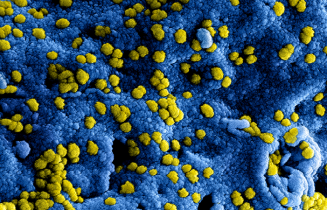 nieuw_coronavirus_in_china