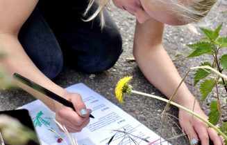 Paardenbloemonderzoek Naturalis staand