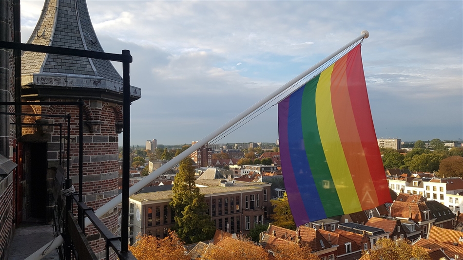 regenboogvlag