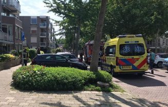 merelhof voorschoten