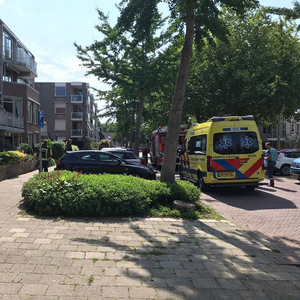 merelhof voorschoten