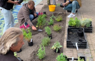 plantjes