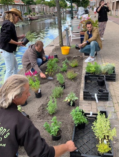 plantjes