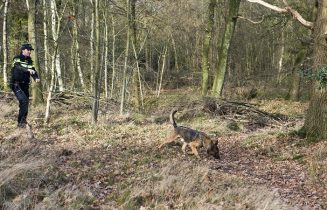 agent-loopt-met-diensthond-in-bosgebied