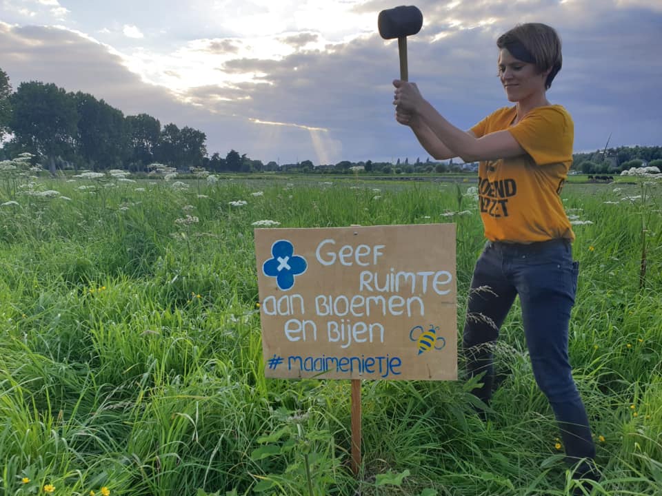 maai me niet