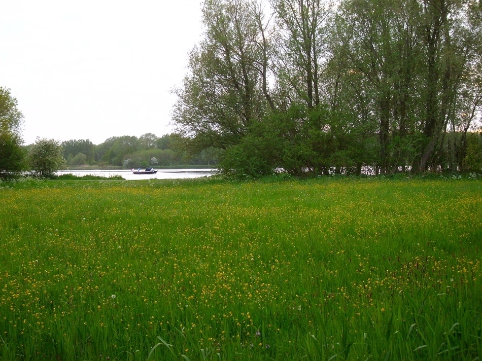 vlietland