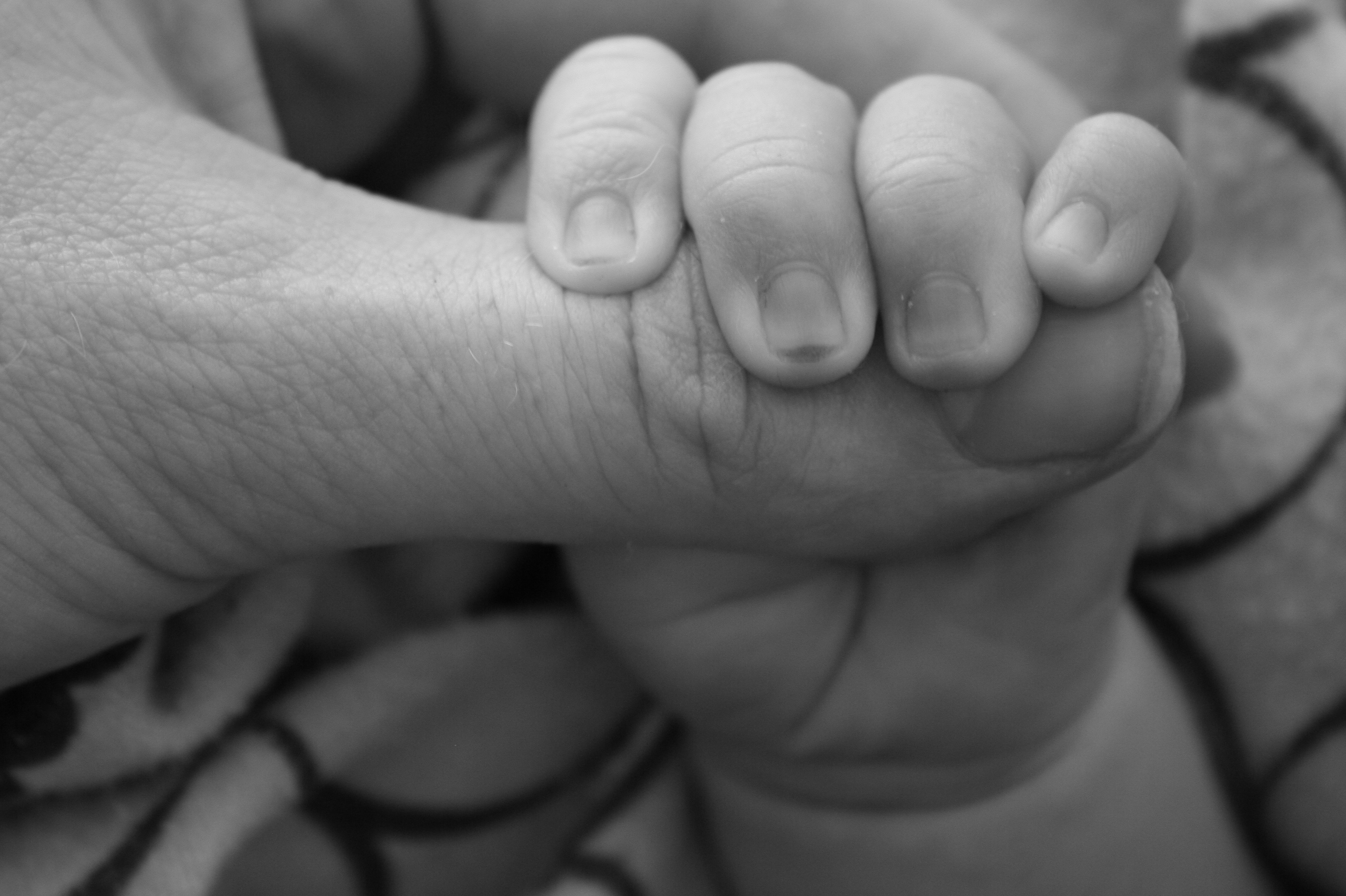 hand-person-black-and-white-white-photography-cute-639092-pxhere.com