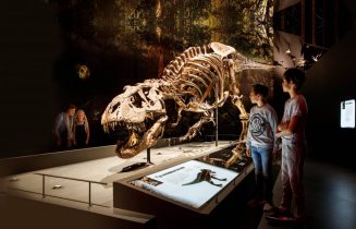 Naturalis-Biodiversity-Center