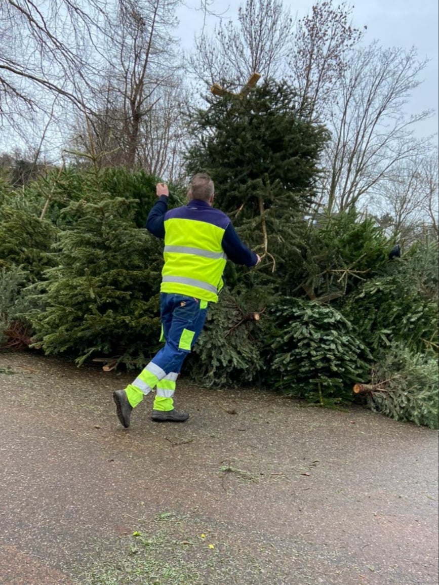 kerstboom
