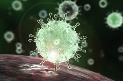 coronavirus