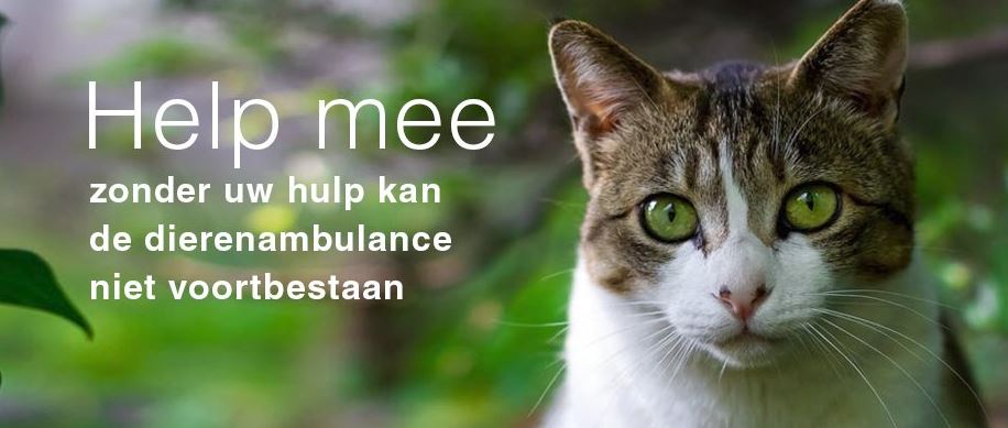 Dierenambulance