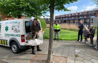 Uitzetten zwaan Valkenburg 23 mei 21