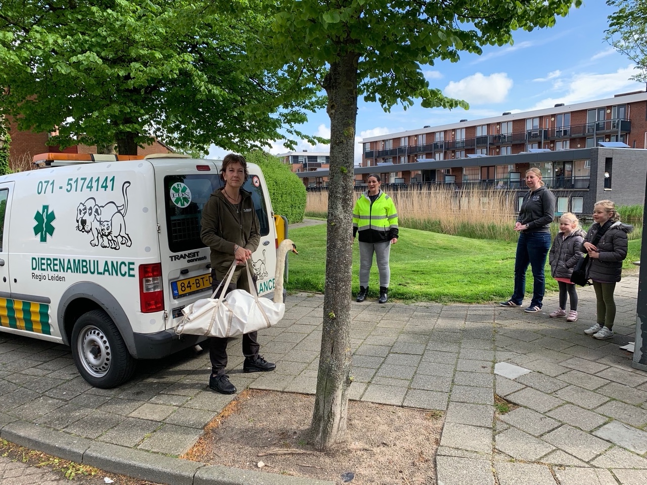 Uitzetten zwaan Valkenburg 23 mei 21