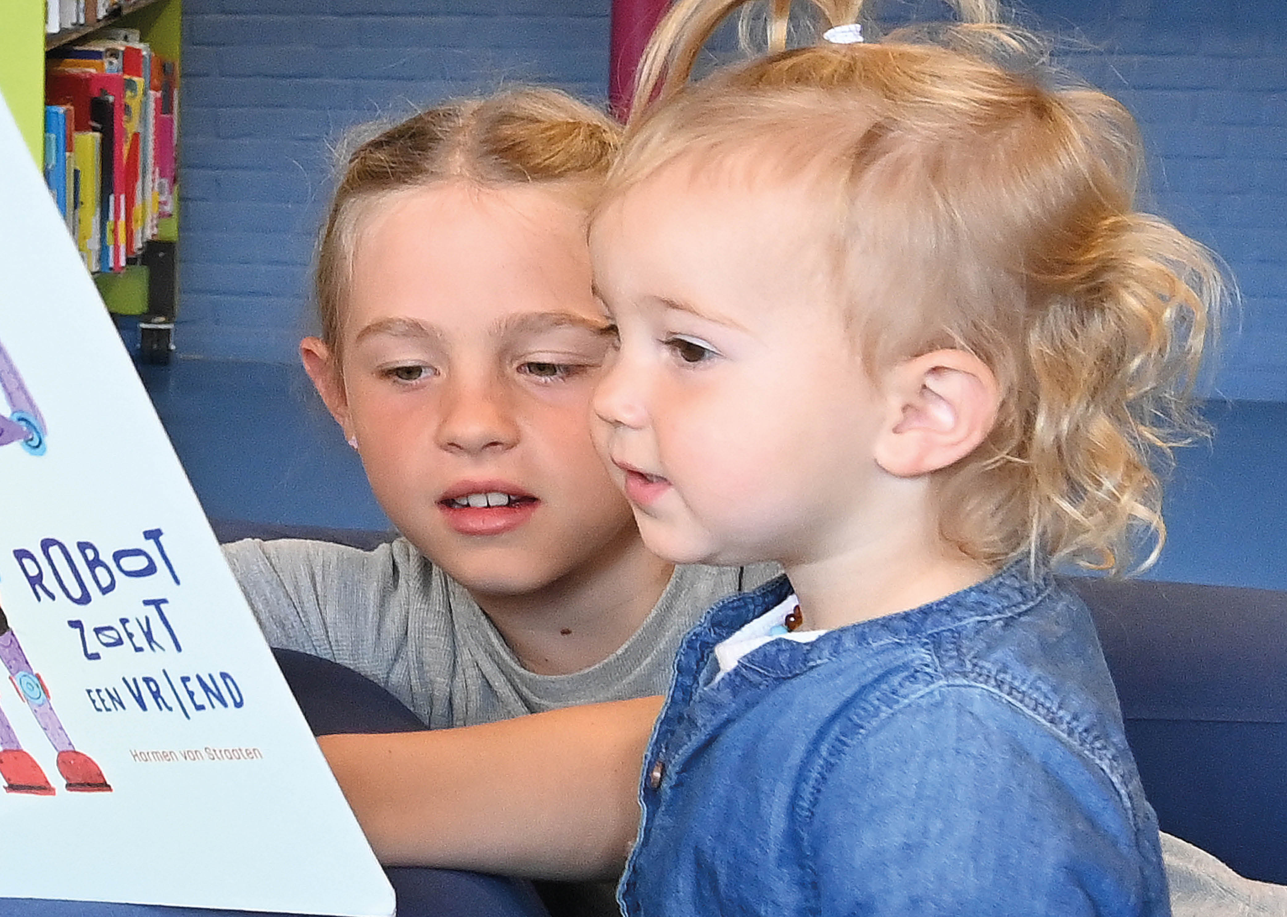 Vriendje van de Bieb