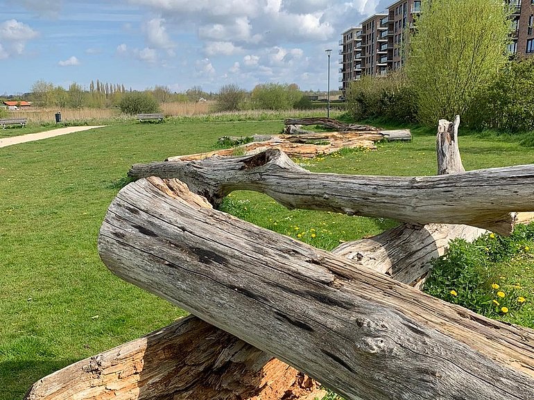 Vroege Vogelspark