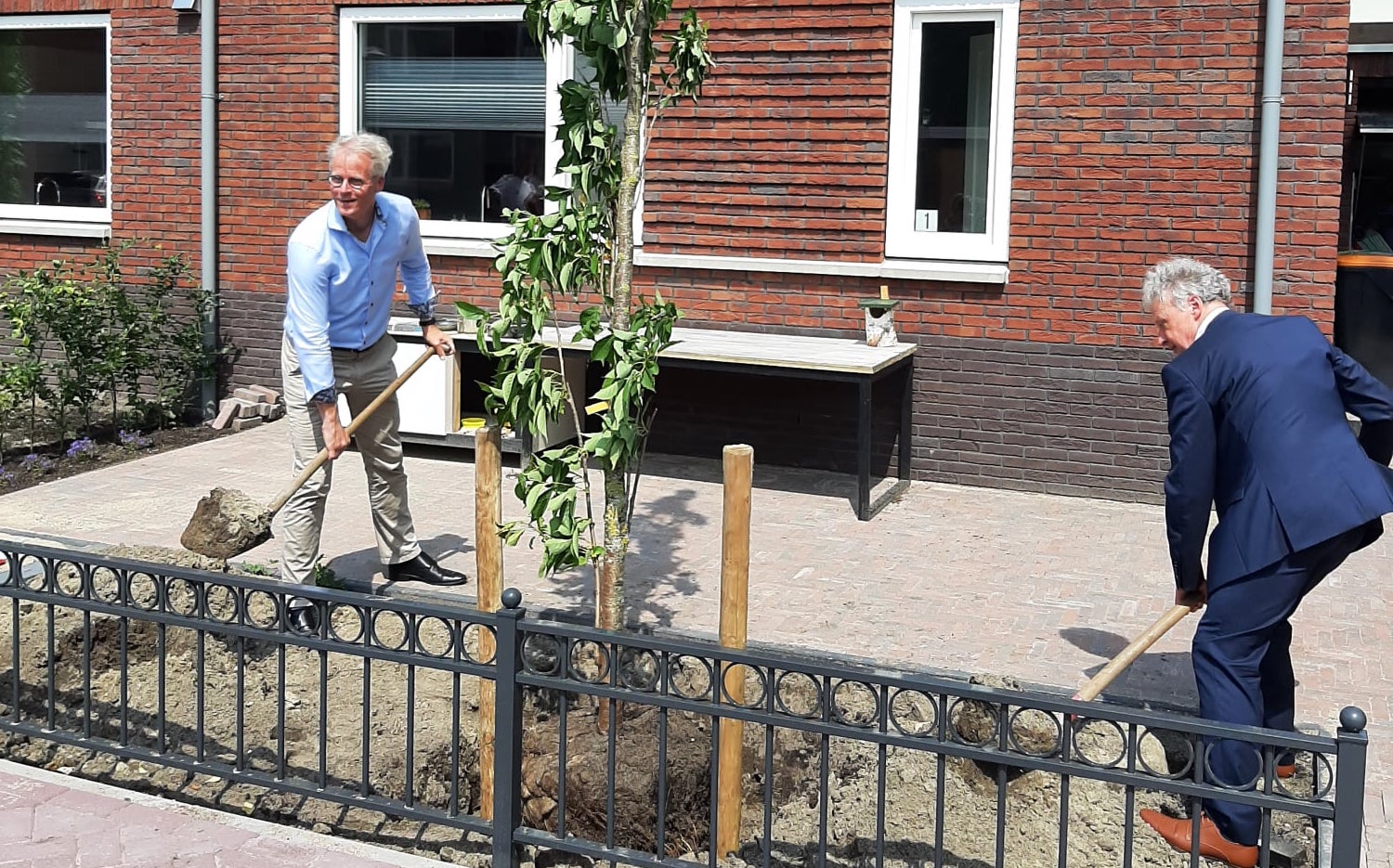 Bijvriendelijke bomen