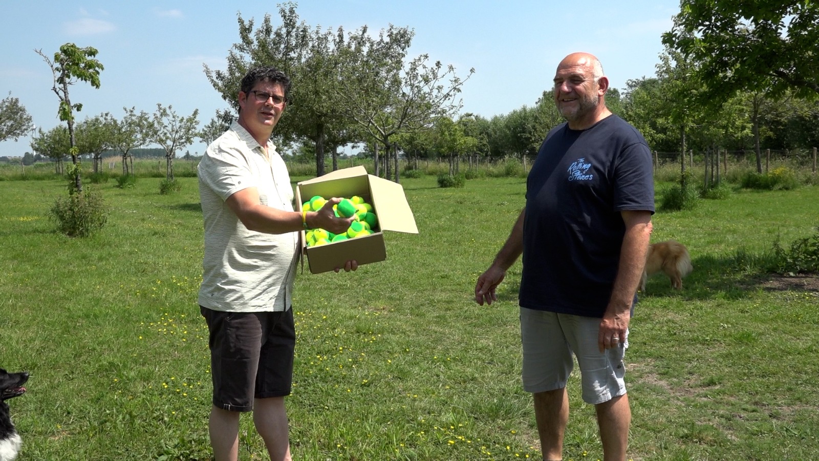 CDA Doneert ballen