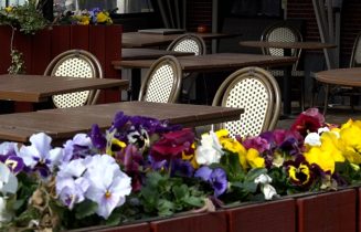 terras