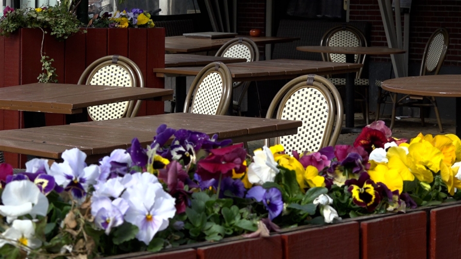 terras