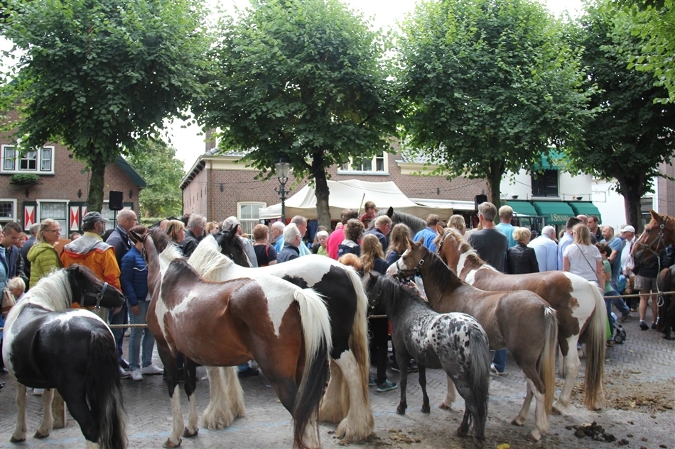Paardendagen Voorschoten Archief