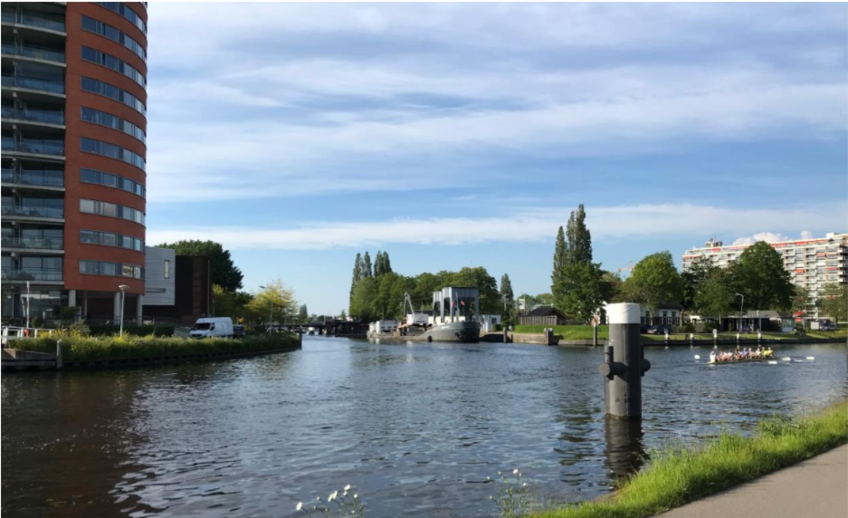 trekvliet