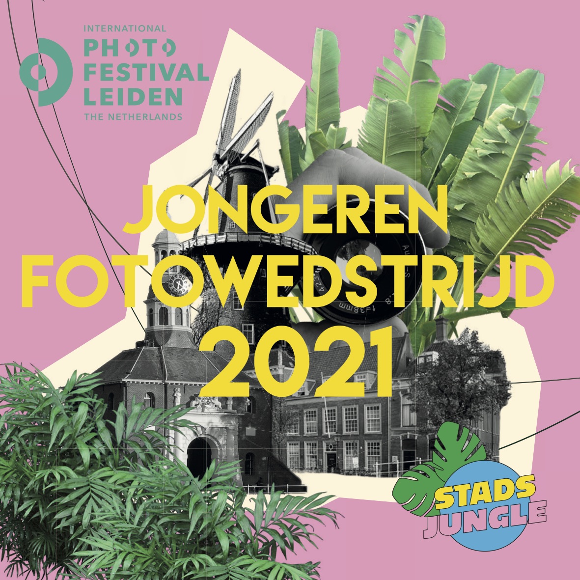 IPFL STAD fotowedstrijd Jungle (1)