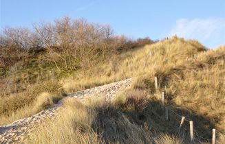 Nationaal park hollandse duinen