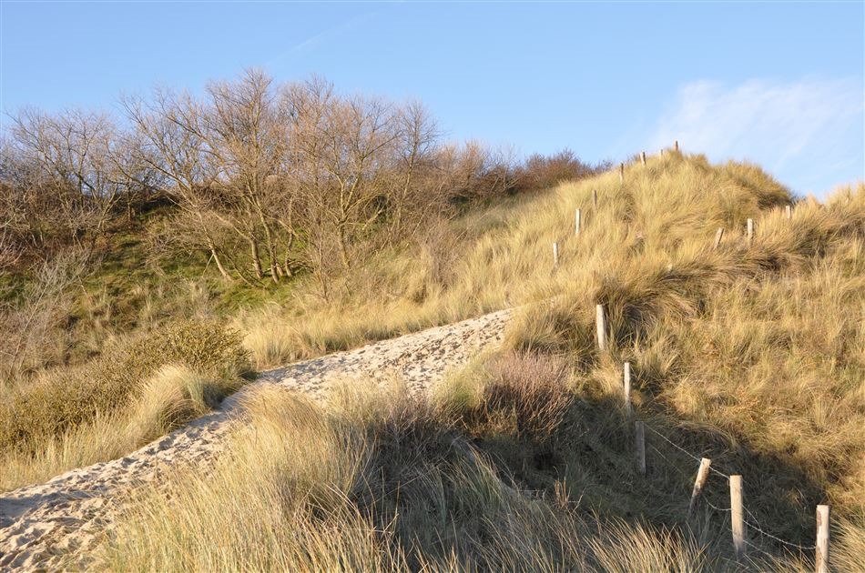 Nationaal park hollandse duinen