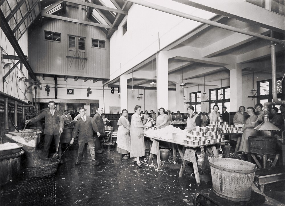 Werken in de conservenfabriek de Ster klein foto Erfgoed Leiden en Omstreken